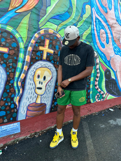 Green Everyday Mesh Shorts